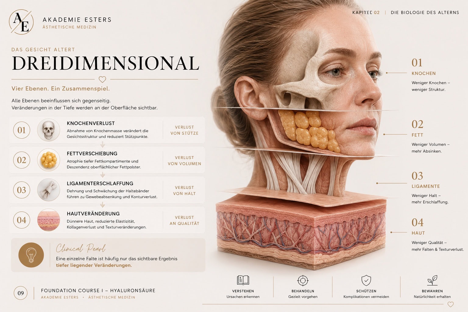 aesthetische medizin_schaubild_2